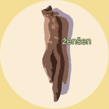 ženšen